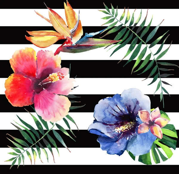 Belle mignonne belle magnifique graphique lumineux tropical hawaii floral herbe été fleurs tropicales hibiscus orchidées et palmiers feuilles motif sur fond lignes sombres aquarelle illustration à la main — Photo