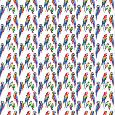 Parlak renkli güzel güzel gelişmiş orman tropik sarı, yeşil, kırmızı ve mavi büyük tropik papağan ve küçük yeşil tropikal kuşlar köşegen desen suluboya el çizimi