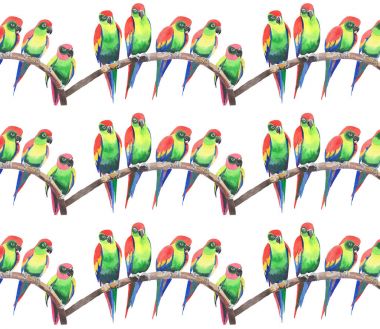 Parlak renkli sevimli güzel orman tropik sarı ve yeşil papağan bir şube desen suluboya üzerinde şekil ver. Mükemmel tebrik kartı, tekstil, duvar kağıtları için