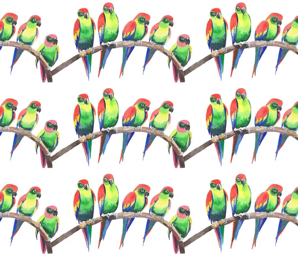 Parlak renkli sevimli güzel orman tropik sarı ve yeşil papağan bir şube desen suluboya üzerinde şekil ver. Mükemmel tebrik kartı, tekstil, duvar kağıtları için