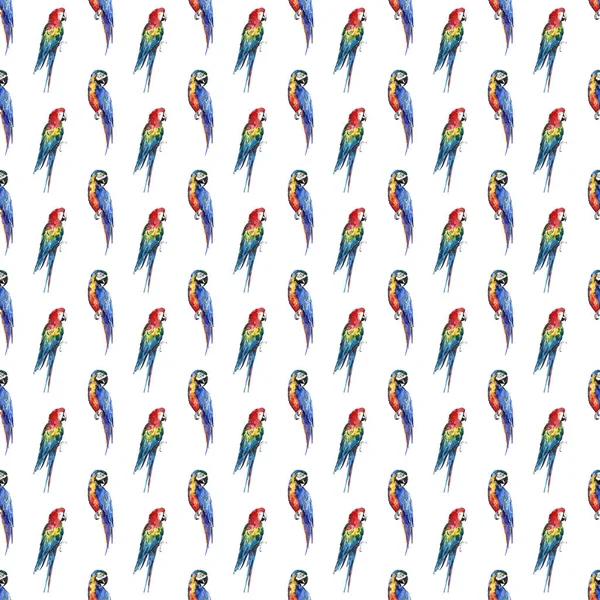 Parlak renkli güzel güzel gelişmiş orman tropik sarı, yeşil, kırmızı ve mavi büyük tropikal köşegen desen suluboya el illüstrasyon papağan.