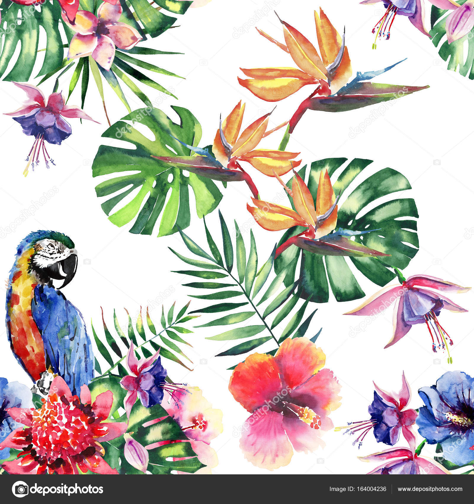 Beautiful bright lovely colorful tropical hawaii floral 
