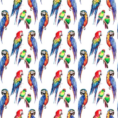 Parlak renkli güzel güzel gelişmiş orman tropik sarı, yeşil, kırmızı ve mavi büyük tropik papağan ve küçük yeşil tropikal kuşlar köşegen desen suluboya el çizimi