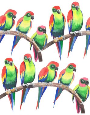 Parlak renkli sevimli güzel orman tropik sarı ve yeşil papağan bir şube desen suluboya üzerinde şekil ver. Mükemmel tebrik kartı, tekstil, duvar kağıtları için