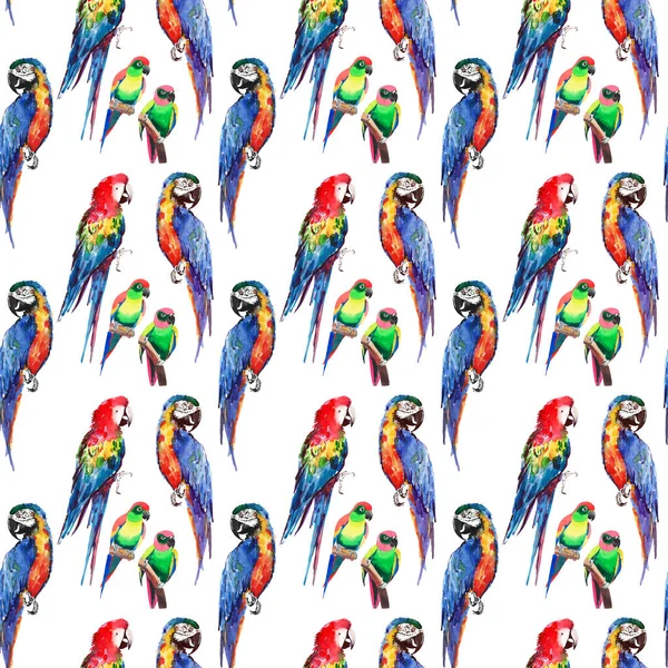 Brillante colorido hermoso encantador sofisticado selva tropical amarillo, verde, rojo y azul grandes loros tropicales y pequeñas aves tropicales verdes patrón diagonal acuarela mano ilustración — Foto de Stock