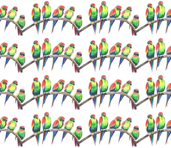Φωτεινά πολύχρωμα χαριτωμένα όμορφη ζούγκλα τροπικό κίτρινο και πράσινο παπαγάλους σε ένα υποκατάστημα ακουαρέλα μοτίβο χέρι εικονογράφηση. Ιδανικό για Ευχητήρια κάρτα, υφάσματα, ταπετσαρίες — Φωτογραφία Αρχείου