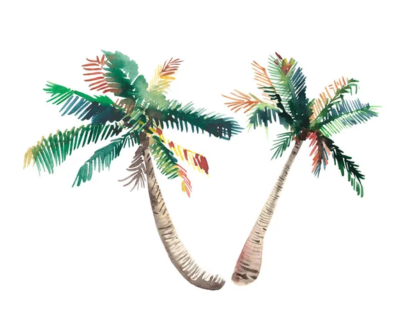 Güzel parlak sevimli yeşil tropikal güzel harika hawaii çiçek bitkisel yaz desen bir palmiye ağaçları suluboya el kroki. Tebrik kartı için mükemmel, tekstil, duvar kağıtları, kağıt ambalaj
