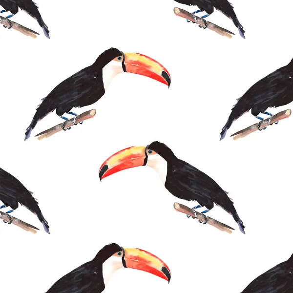 Φωτεινό υπέροχο όμορφη όμορφη εξελιγμένα ζούγκλα τροπικό toucan μαύρο και άσπρο πουλί διαγώνια μοτίβο ακουαρέλα χέρι εικονογράφηση — Φωτογραφία Αρχείου