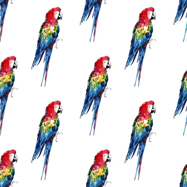 Parlak renkli güzel güzel sofistike orman tropik sarı, yeşil, kırmızı ve mavi büyük tropik papağan köşegen desen suluboya el illüstrasyon model