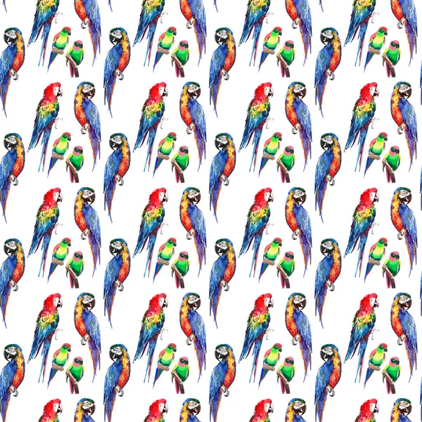 Яскраві барвисті красиві прекрасні витончені джунглі тропічні жовті, зелені, червоні і сині великі тропічні папуги і маленькі зелені тропічні птахи діагональний візерунок акварельні ручні ілюстрації — стокове фото