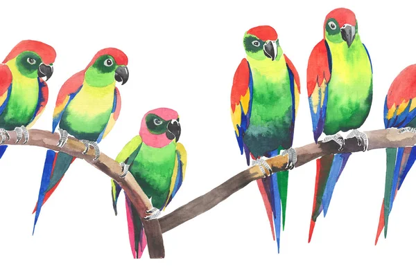 Яскраво-кольорові красиві джунглі тропічні жовті і зелені папуги на гілковому візерунку акварельної ручної ілюстрації. Ідеально підходить для вітальних листівок, текстилю, шпалер — стокове фото