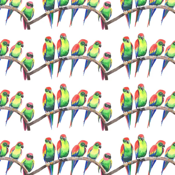 Parlak renkli sevimli güzel orman tropik sarı ve yeşil papağan bir şube desen suluboya üzerinde şekil ver. Mükemmel tebrik kartı, tekstil, duvar kağıtları için