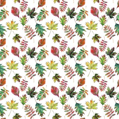 Güzel güzel şirin harika grafik parlak çiçek bitkisel sonbahar kırmızı turuncu yeşil sarı akçaağaç rowan desen suluboya el kroki bırakır. Tekstil, duvar kağıtları, kağıt sarma için mükemmel