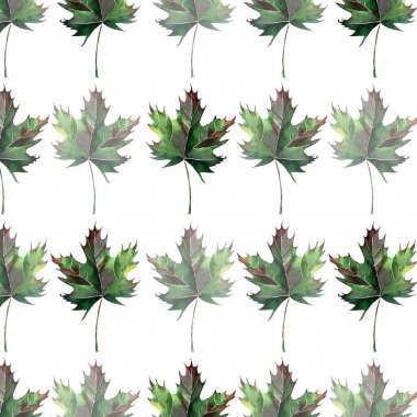 Güzel güzel grafik sanatsal soyut parlak çiçek bitkisel sonbahar yeşil akçaağaç desen suluboya el kroki bırakır. Tekstil, duvar kağıtları, ambalaj kağıdı, kartları, davetiyeleri için mükemmel