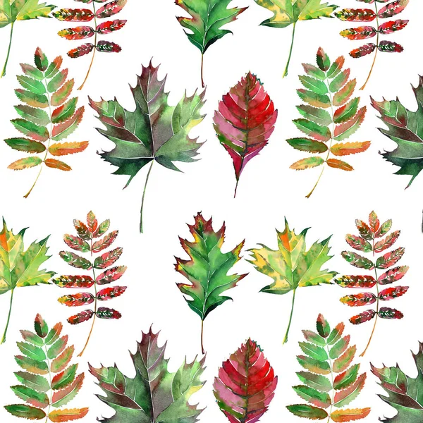 Prachtige mooie schattige prachtige grafische heldere bloemen kruiden herfst rood oranje groen gele maple rowan verlaat patroon aquarel hand schets. Perfect voor textiel, behang, inpakpapier — Stockfoto