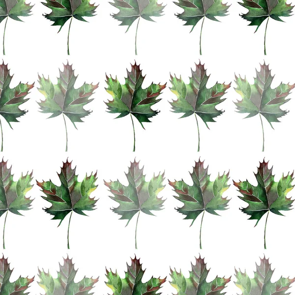 Güzel güzel grafik sanatsal soyut parlak çiçek bitkisel sonbahar yeşil akçaağaç desen suluboya el kroki bırakır. Tekstil, duvar kağıtları, ambalaj kağıdı, kartları, davetiyeleri için mükemmel