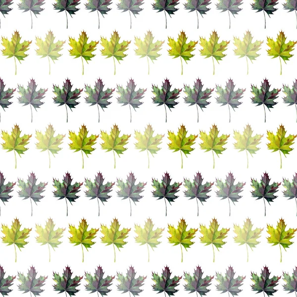 Hermoso gráfico gráfico abstracto brillante floral herbal otoño verde arce hojas patrón acuarela mano boceto. Perfecto para textiles, fondos de pantalla, papel de regalo, tarjetas, invitaciones —  Fotos de Stock