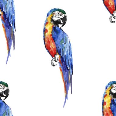 Köşegen desen suluboya el illüstrasyon parlak renkli sevimli güzel orman tropik sarı ve mavi büyük tropik papağan. Mükemmel tebrik kartı, tekstil, duvar kağıtları için