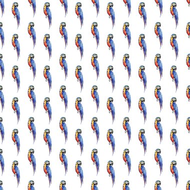 Köşegen desen suluboya el illüstrasyon parlak renkli sevimli güzel orman tropik sarı ve mavi büyük tropik papağan. Mükemmel tebrik kartı, tekstil, duvar kağıtları için