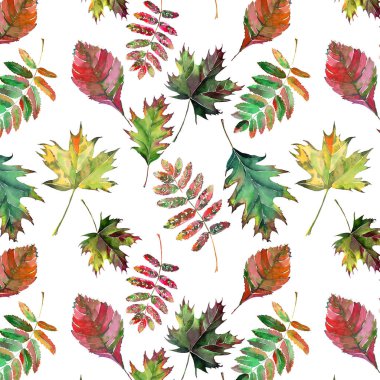 Güzel güzel şirin harika grafik parlak çiçek bitkisel sonbahar kırmızı turuncu yeşil sarı akçaağaç rowan desen suluboya el kroki bırakır. Tekstil, duvar kağıtları, kağıt sarma için mükemmel