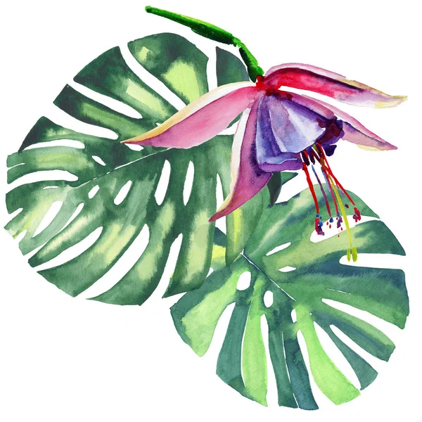 Όμορφο φωτεινό υπέροχο πολύχρωμο τροπική Χαβάη floral φυτικά καλοκαίρι μοτίβο τροπικό βιολετί άνθη ορχιδέες και παλάμες φύλλα ακουαρέλας χέρι εικονογράφηση. Ιδανικό για κάρτες, ταπετσαρίες, υφάσματα — Φωτογραφία Αρχείου