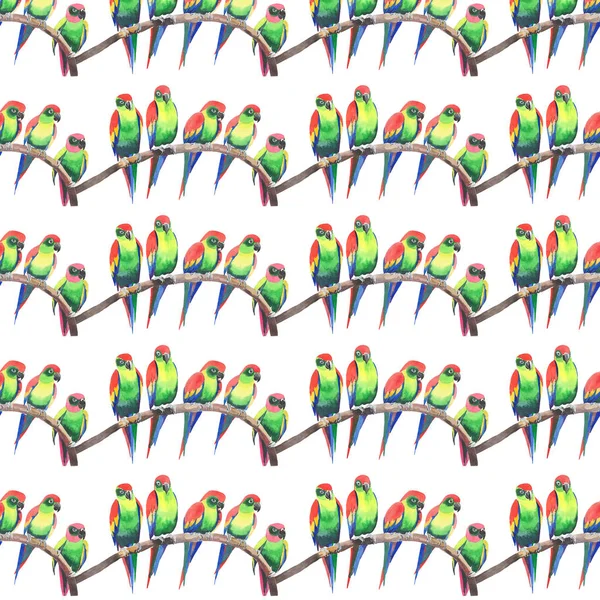 Bright colorful cute beautiful jungle tropical yellow and green parrots on a branch pattern watercolor hand illustration. Perfect for greetings card, textile, wallpapers — Stock Photo, Image