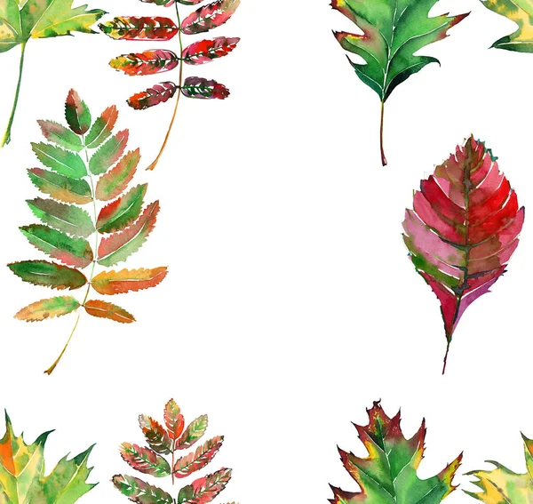 Όμορφη όμορφη χαριτωμένο εξαιρετικό γραφικών φωτεινά floral φυτικά φθινόπωρο κόκκινο πορτοκαλί πράσινο κίτρινο maple rowan φύλλα καρέ ακουαρέλα χέρι σκίτσο. Ιδανική λύση για υφάσματα, ταπετσαρίες, χαρτί περιτυλίγματος — Φωτογραφία Αρχείου