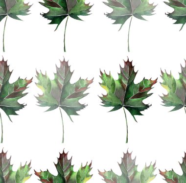 Güzel güzel grafik sanatsal soyut parlak çiçek bitkisel sonbahar yeşil akçaağaç desen suluboya el kroki bırakır. Tekstil, duvar kağıtları, ambalaj kağıdı, kartları, davetiyeleri için mükemmel