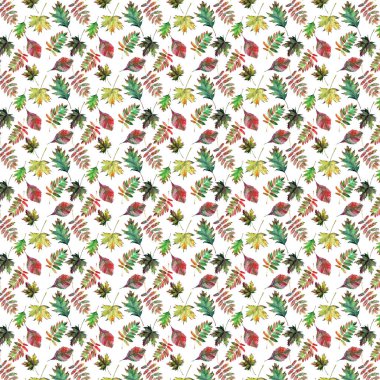 Güzel güzel şirin harika grafik parlak çiçek bitkisel sonbahar kırmızı turuncu yeşil sarı akçaağaç rowan desen suluboya el kroki bırakır. Tekstil, duvar kağıtları, kağıt sarma için mükemmel