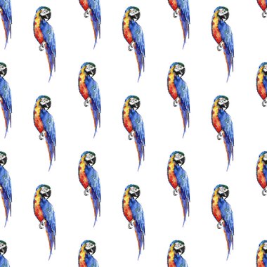 Köşegen desen suluboya el illüstrasyon parlak renkli sevimli güzel orman tropik sarı ve mavi büyük tropik papağan. Mükemmel tebrik kartı, tekstil, duvar kağıtları için