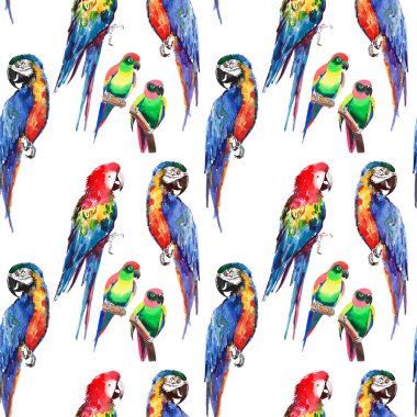 Parlak renkli güzel güzel gelişmiş orman tropik sarı, yeşil, kırmızı ve mavi büyük tropik papağan ve küçük yeşil tropikal kuşlar köşegen desen suluboya el çizimi