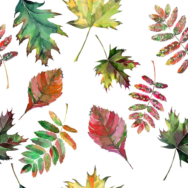 Hermoso lindo gráfico maravilloso brillante floral herbal otoño rojo naranja verde amarillo arce rowan hojas patrón acuarela mano boceto. Perfecto para textiles, papeles pintados, papel de envolver —  Fotos de Stock