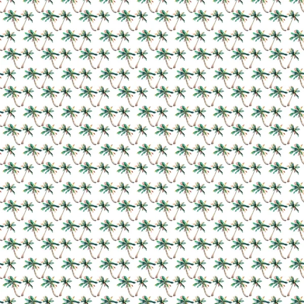 Güzel parlak sevimli yeşil tropikal güzel harika hawaii çiçek bitkisel yaz desen bir palmiye ağaçları suluboya el kroki. Tebrik kartı için mükemmel, tekstil, duvar kağıtları, kağıt ambalaj