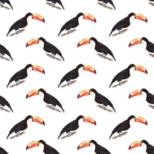 Bright wonderful beautiful lovely sophisticated jungle tropical black and white toucan bird diagonal pattern watercolor hand illustration — Stock Photo, Image