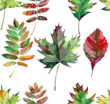 Güzel güzel şirin harika grafik parlak çiçek bitkisel sonbahar kırmızı turuncu yeşil sarı akçaağaç rowan desen suluboya el kroki bırakır. Tekstil, duvar kağıtları, kağıt sarma için mükemmel