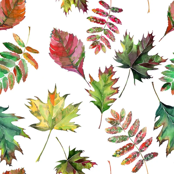 Beautiful lovely cute wonderful graphic bright floral herbal autumn red orange green yellow maple rowan leaves pattern watercolor hand sketch. Perfect for textile, wallpapers, wrapping paper — Stock Photo, Image