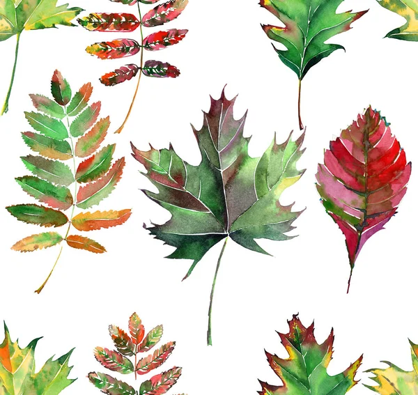 Όμορφη όμορφη χαριτωμένο εξαιρετικό γραφικών φωτεινά floral φυτικά φθινόπωρο κόκκινο πορτοκαλί πράσινο κίτρινο maple rowan φύλλα μοτίβο ακουαρέλα χέρι σκίτσο. Ιδανική λύση για υφάσματα, ταπετσαρίες, χαρτί περιτυλίγματος — Φωτογραφία Αρχείου