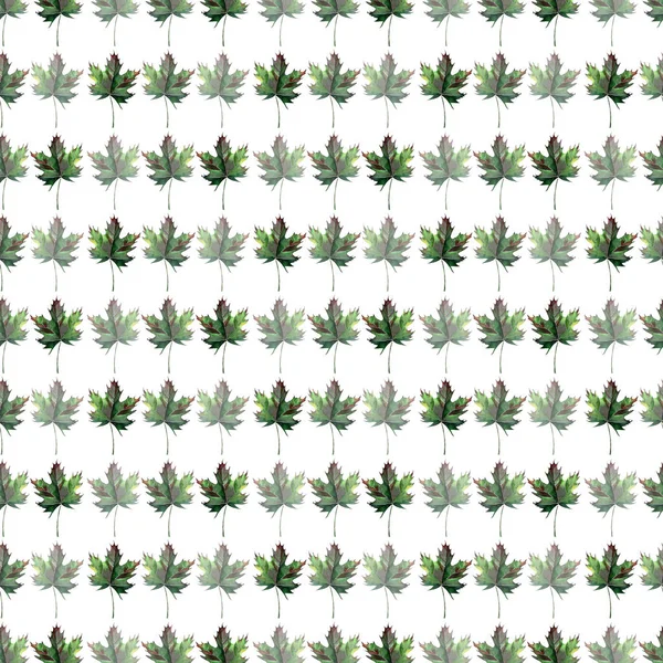 Hermoso gráfico gráfico abstracto brillante floral herbario otoño verde arce hojas patrón horizontal acuarela boceto de la mano. Perfecto para textiles, fondos de pantalla, papel de regalo, tarjetas, invitaciones — Foto de Stock