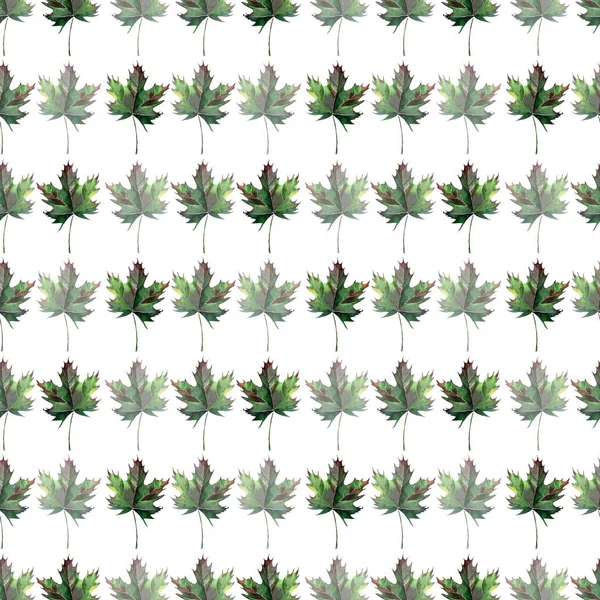 Güzel güzel grafik sanatsal soyut parlak çiçek bitkisel sonbahar yeşil akçaağaç yatay kalıp suluboya el kroki bırakır. Tekstil, duvar kağıtları, ambalaj kağıdı, kartları, davetiyeleri için mükemmel