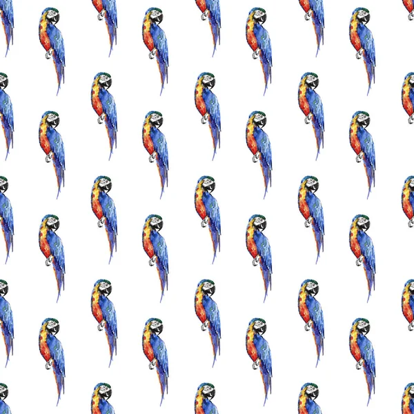 Světlé barevné roztomilé krásné džungle tropického žluté a modré velké tropické papoušci diagonální vzor akvarel ruka ilustrace. Ideální pro pozdravy karta, textil, tapety — Stock fotografie
