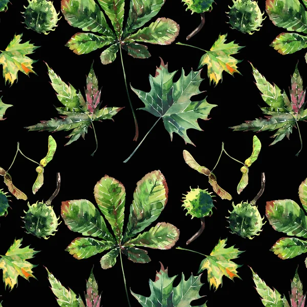 Прекрасний графічний яскравий квітковий трав'яний осінній зелений кленовий каштановий лист і візерунок з каштанами на чорному тлі акварельного ескізу рук. Ідеально підходить для текстилю, шпалер, обгорткового паперу — стокове фото