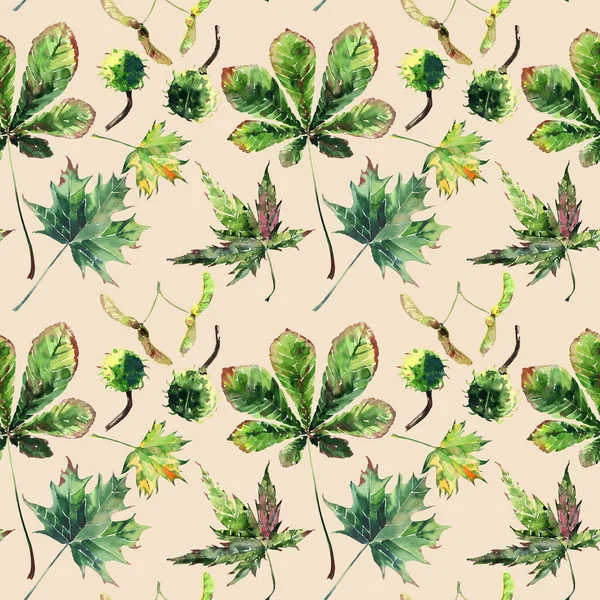 Güzel şirin güzel ihale harika grafik parlak çiçek bitkisel sonbahar yeşil kırmızı sarı turuncu akçaağaç rowan yaprakları ve kestane desenine bej pastel arka plan suluboya el çizimi