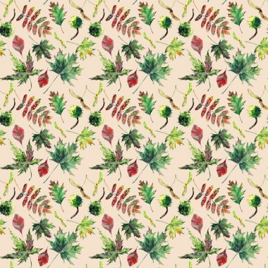 Güzel şirin güzel ihale harika grafik parlak çiçek bitkisel sonbahar yeşil kırmızı sarı turuncu akçaağaç rowan yaprakları ve kestane desenine bej pastel arka plan suluboya el çizimi