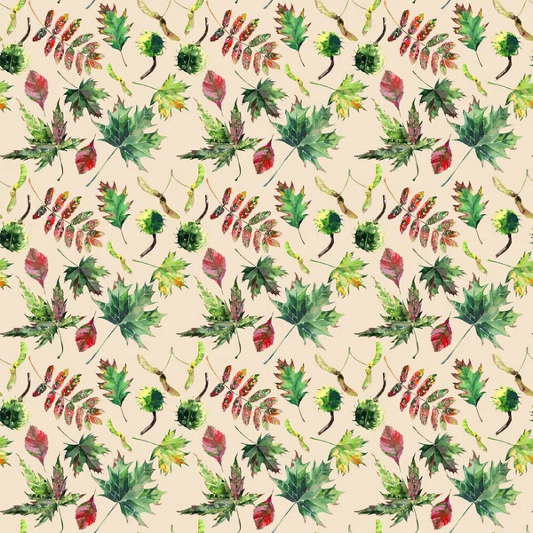 Güzel şirin güzel ihale harika grafik parlak çiçek bitkisel sonbahar yeşil kırmızı sarı turuncu akçaağaç rowan yaprakları ve kestane desenine bej pastel arka plan suluboya el çizimi