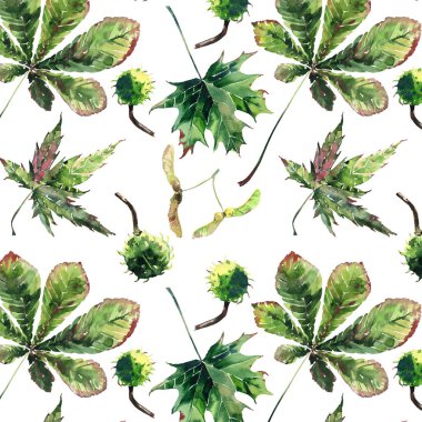 Güzel harika grafik parlak çiçek bitkisel sonbahar yeşil akçaağaç kestane yaprakları ve kestane desen suluboya el kroki. Tekstil, duvar kağıtları, kağıt sarma için mükemmel