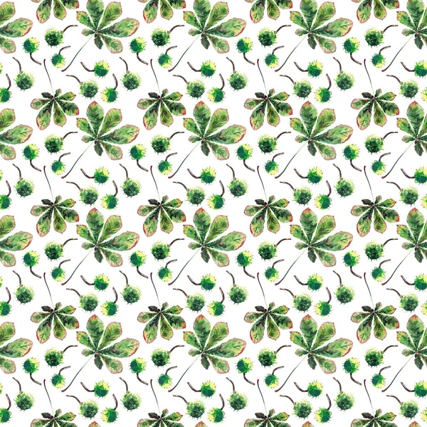 Güzel harika grafik parlak çiçek bitkisel sonbahar yeşil akçaağaç kestane yaprakları ve kestane desen suluboya el kroki. Tekstil, duvar kağıtları, kağıt sarma için mükemmel