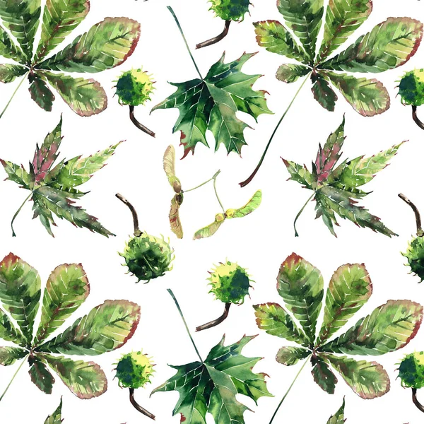 Güzel harika grafik parlak çiçek bitkisel sonbahar yeşil akçaağaç kestane yaprakları ve kestane desen suluboya el kroki. Tekstil, duvar kağıtları, kağıt sarma için mükemmel