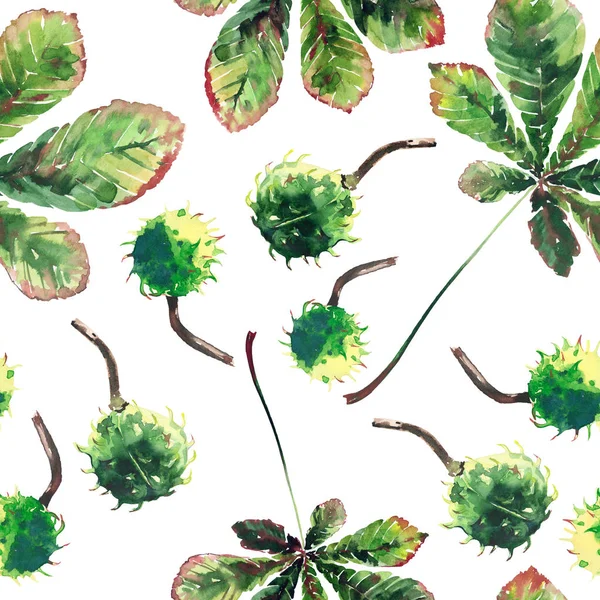 Schöne wunderbare Grafik hell florale Kräuter Herbst grün Ahorn Kastanienblätter und Kastanien Muster Aquarell Handskizze. perfekt für Textilien, Tapeten, Packpapier — Stockfoto