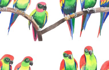 Parlak renkli sevimli güzel orman tropik sarı ve yeşil papağan bir şube desen suluboya üzerinde şekil ver. Mükemmel tebrik kartı, tekstil, duvar kağıtları için