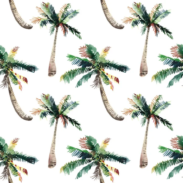 Vackra ljusa söt grön tropisk härliga underbara hawaii blommig växtbaserade sommaren mönster av en palm träd akvarell hand skiss. Perfekt för gratulationskort, textil, tapeter, omslagspapper — Stockfoto